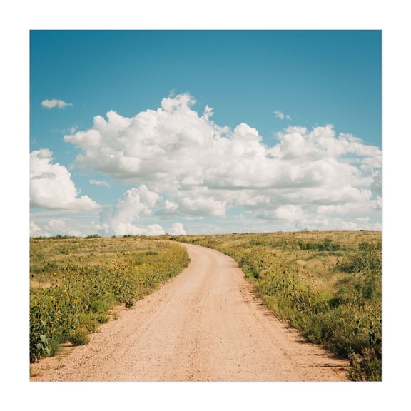 Dirt Road, New Mexico 03 - New Mexico Photography Unframed Wall Art Print 16 x 16 inches