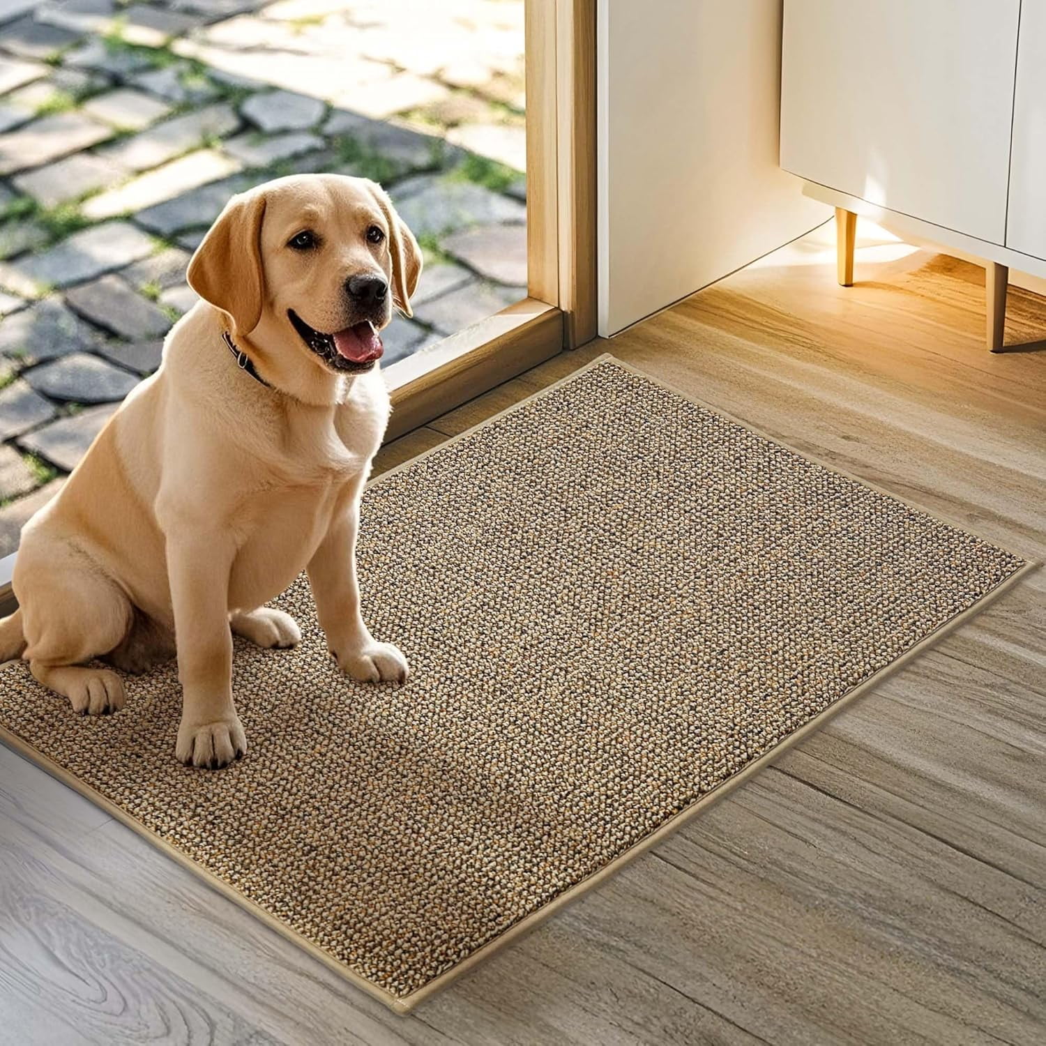 Entryway Rug Dog Proof Door Mat 20