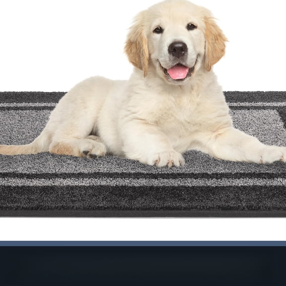 Dirt Trapping Door Ma, Non-Slip Machine Washable Entryway Rug, Entrance Mat, Indoor Front Door Mat, Super Absorbent Entry Rug for Muddy Shoes & Paws