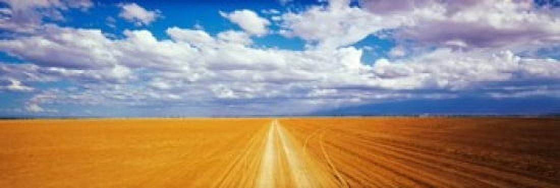 Dirt road Amboseli Kenya Canvas Art - Panoramic Images (36 x 12)