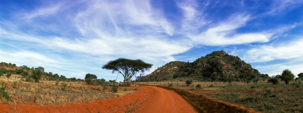 Dirt road passing through Tsavo East National Park Kenya Canvas Art - Panoramic Images (27 x 9)