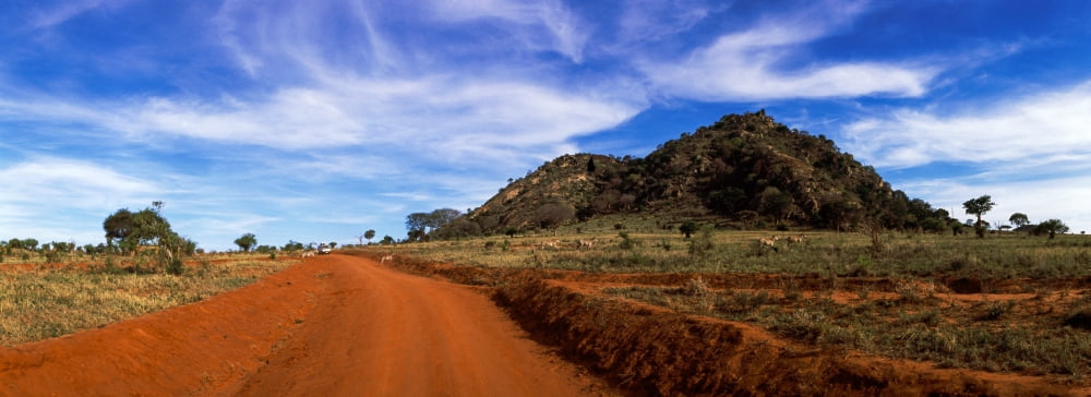 Dirt road passing through Tsavo East National Park Kenya Canvas Art - Panoramic Images (27 x 9)