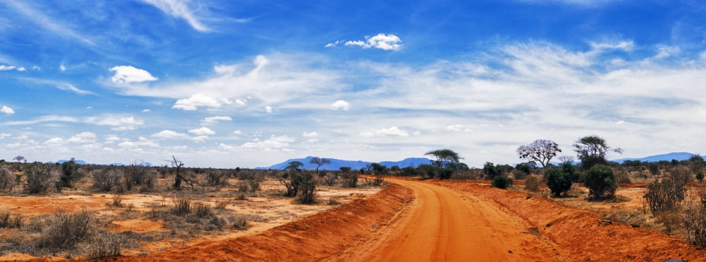 Dirt road passing through Tsavo East National Park Kenya Canvas Art - Panoramic Images (27 x 9)