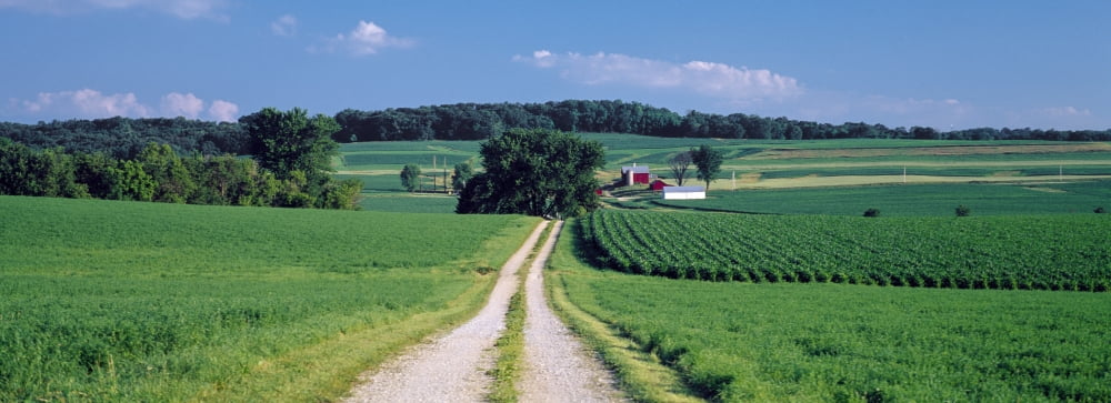 Dirt road passing through a farm Palouse Whitman County Washington State USA Canvas Art - Panoramic Images (36 x 12)
