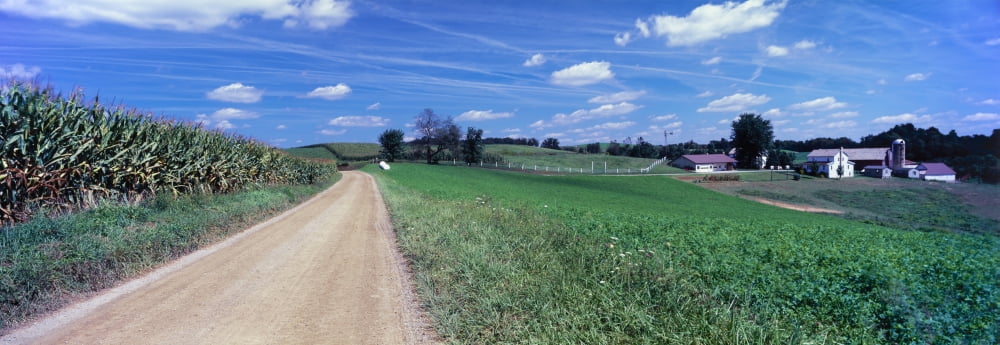 Dirt road passing through a field Amish country Holmes County Ohio USA Canvas Art - Panoramic Images (27 x 9)