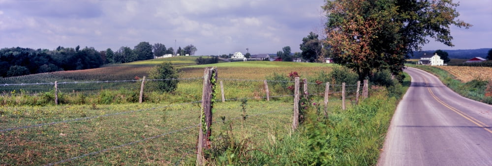 Dirt road passing through a field Amish country Holmes County Ohio USA Canvas Art - Panoramic Images (27 x 9)