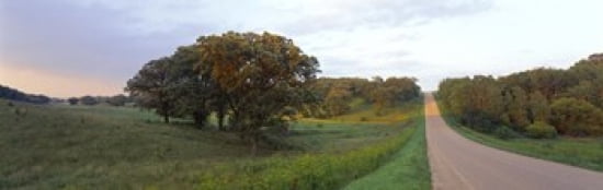 Dirt road passing through a field Wisconsin USA Canvas Art - Panoramic Images (36 x 12)