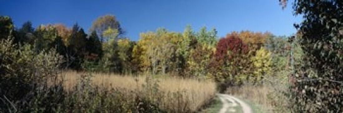 Dirt road passing through a forest University of Wisconsin Arboretum Madison Dane County Wisconsin USA Canvas Art - Panoramic Images (18 x 6)