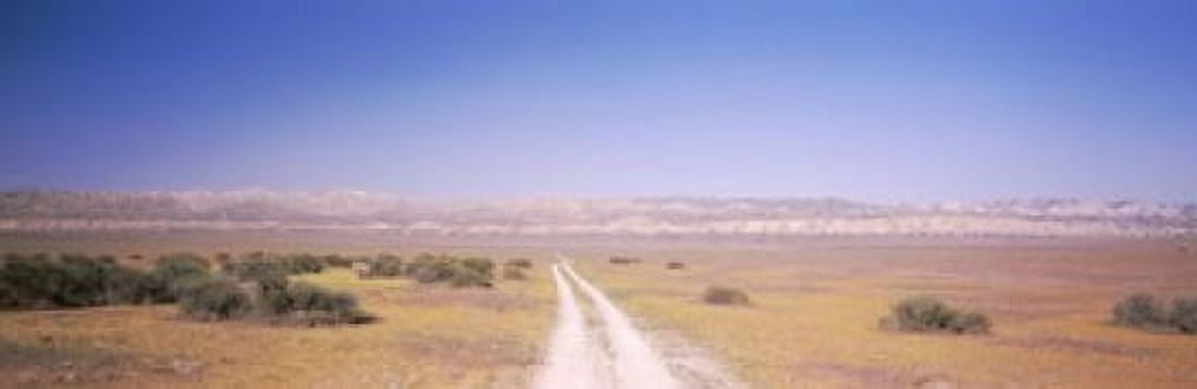 Dirt road passing through a landscape Carrizo Plain San Luis Obispo County California USA Canvas Art - Panoramic Images (18 x 6)