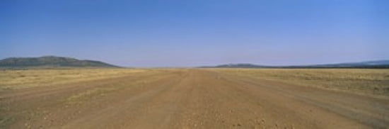 Dirt road passing through a landscape Masai Mara National Reserve Great Rift Valley Kenya Canvas Art - Panoramic Images (36 x 12)