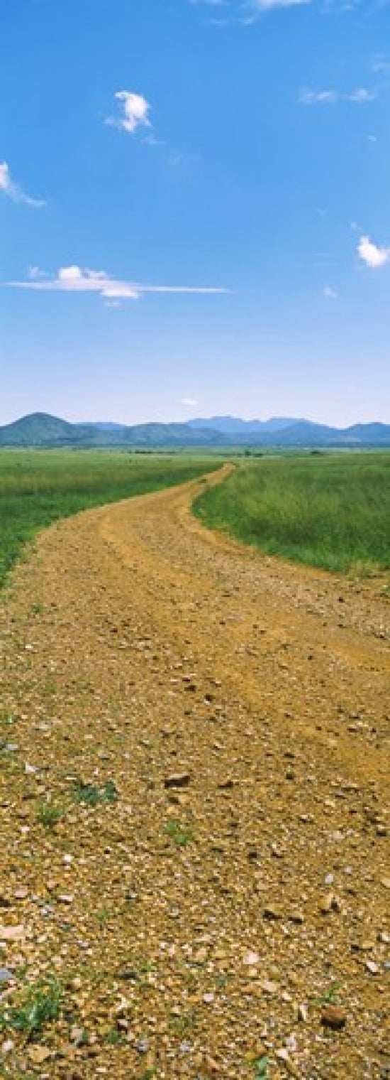 Dirt road passing through a landscape San Rafael Valley Arizona USA Canvas Art - Panoramic Images (18 x 7)