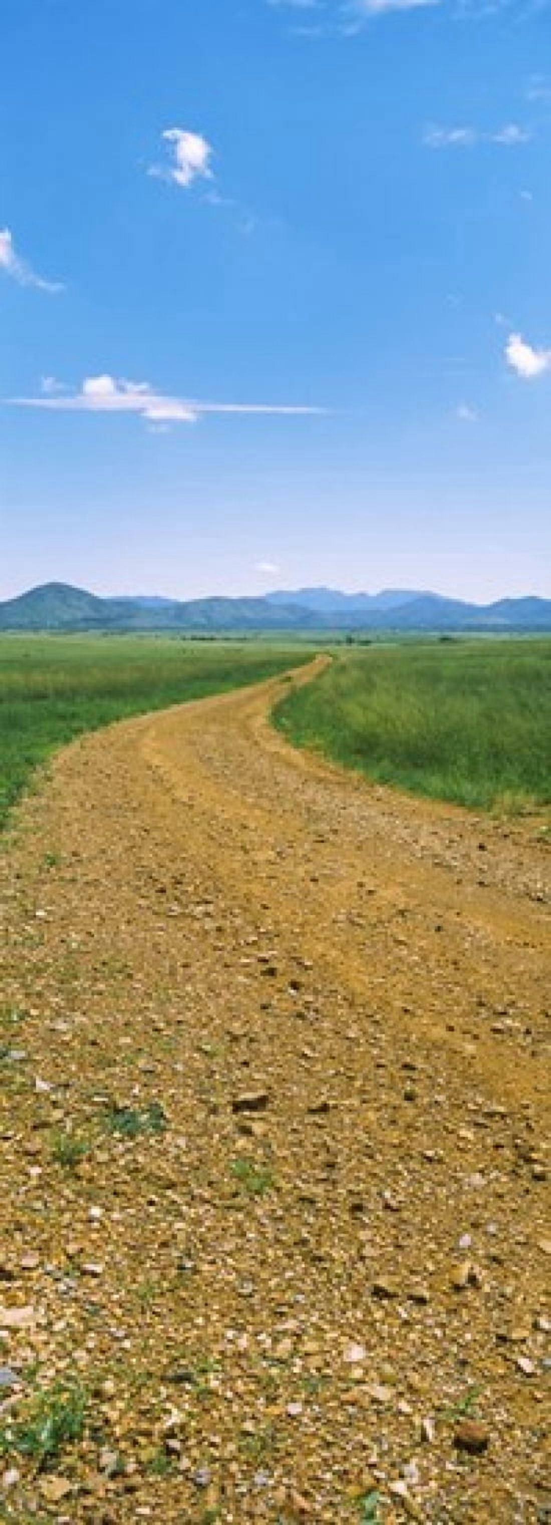 Dirt road passing through a landscape San Rafael Valley Arizona USA Canvas Art - Panoramic Images (36 x 13)