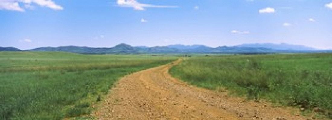 Dirt road passing through a landscape San Rafael Valley Arizona USA Canvas Art - Panoramic Images (36 x 13)