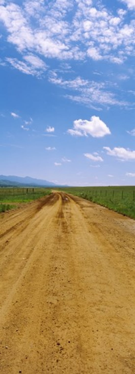 Dirt road passing through a landscape San Rafael Valley Arizona USA Canvas Art - Panoramic Images (36 x 13)