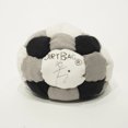 thumbnail image 1 of Dirtbag Footbag 26 Panel Hacky Sack, 1 of 3