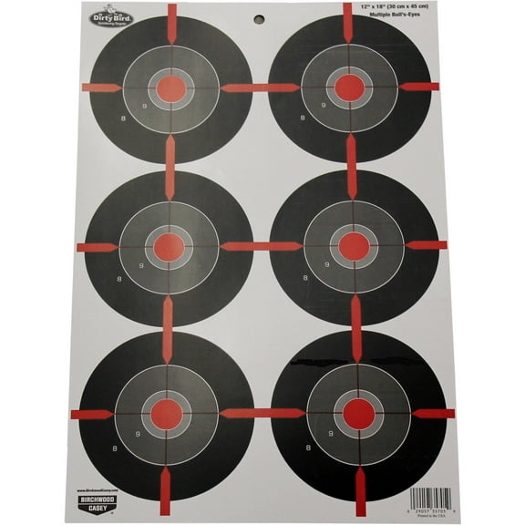 Birchwood Casey Non-Adhesive Dirty Bird 12"x18" Splattering Targets Practice Shooting for Indoor and Outdoor Use, 8 Pack
