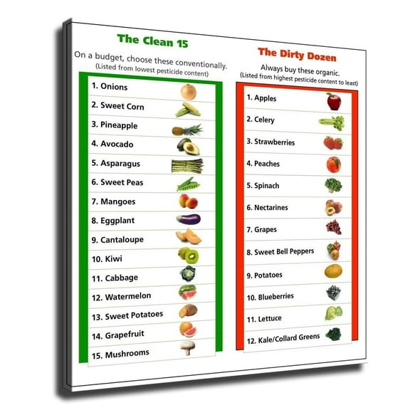 Dirty Dozen And Clean Fifteen Food Health Chart Canvas HD printing poster creative room aesthetics be the wall art decoration for home office gym bar
