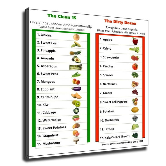Dirty Dozen And Clean Fifteen Food Health Chart Canvas HD printing poster creative room aesthetics be the wall art decoration for home office gym bar