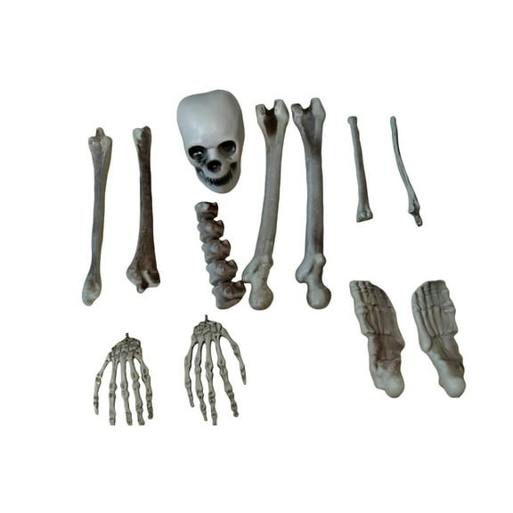 Disassembled Plastic Skeleton Bone Set, Realistic Human Skull & Bone Parts Halloween DIY Layout Prop, Spooky Haunted House Yard Party Decor Kit