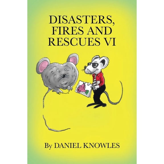 Disasters, Fires and Rescues Vi (Paperback)