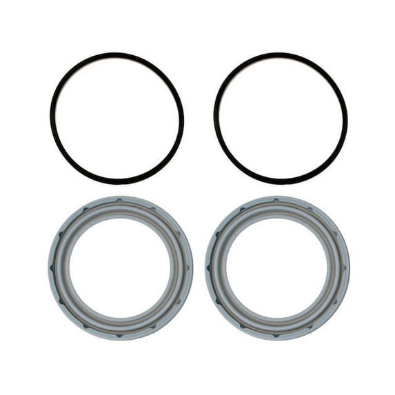 Disc Brake Caliper Seal Kit - Compatible with 1998 - 2002 International 4700LPX - Raybestos