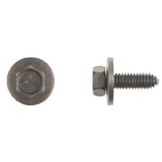 Disco Automotive Hardware DCO9249PK Hex Left Washer Body Bolts - Black Phosphate
