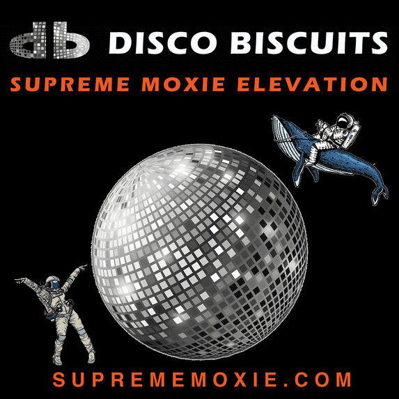 Disco Biscuits 6 Pack