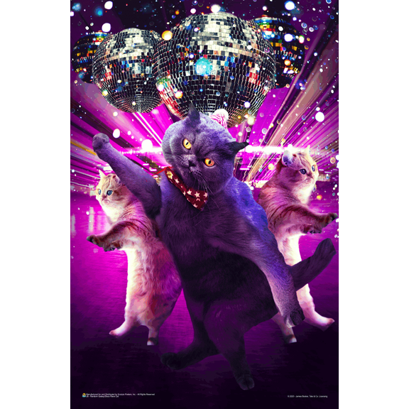 Disco Cat Rave by James Booker Mini Poster - 11" x 17"