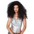 thumbnail image 1 of Disco Diva Do Brunette Wig, 1 of 1