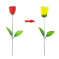 thumbnail image 1 of Discoloration Roses (Red Change Yellow) Rose Magic Tricks Change Valentine 'S Day Color Roses Flower Magic Trick Fun Toys, 1 of 7