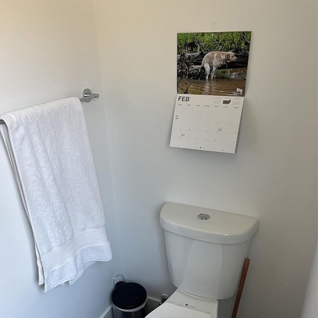 Discounted Dogs Calendar 2025 Funny White Elephant Gift Monthly Wall