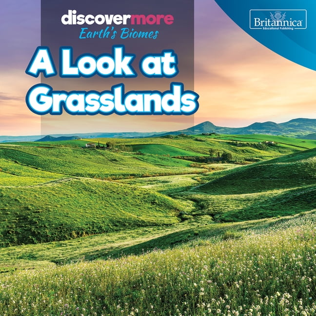 Discover More: Earth's Biomes A Look at Grasslands, (Hardcover)