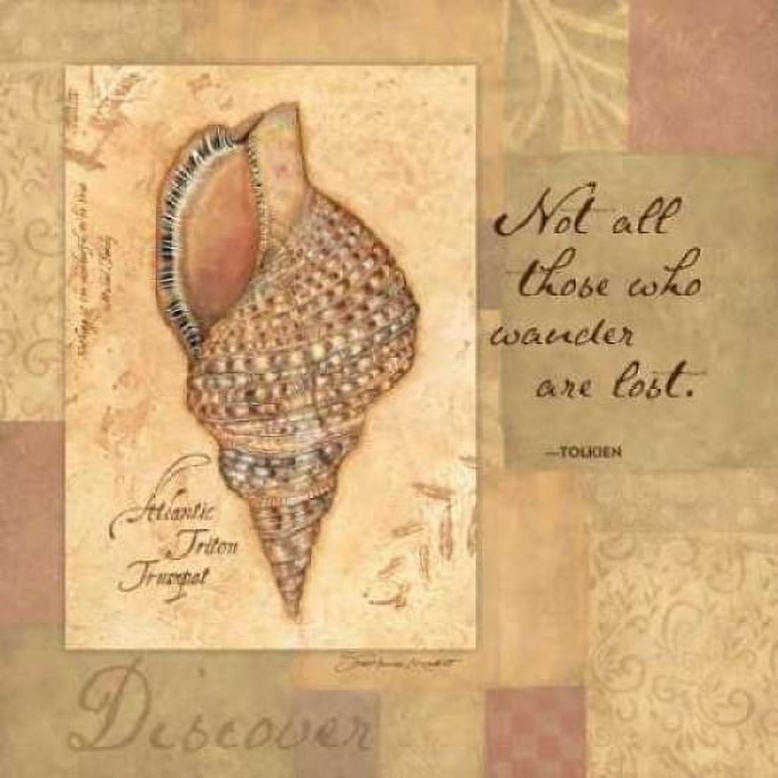 Discover Shell Canvas Art - Stephanie Marrott (24 x 24)