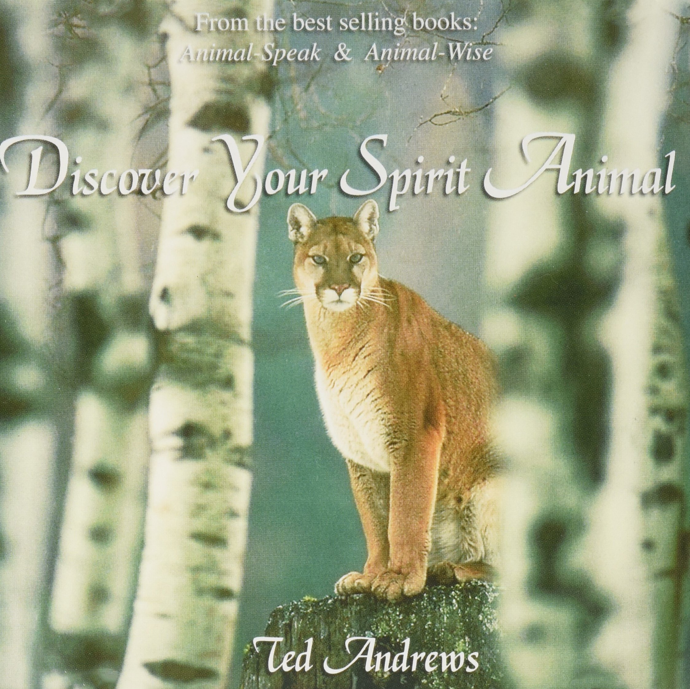 Discover Your Spirit Animal Ted Andrews (Audiobook)