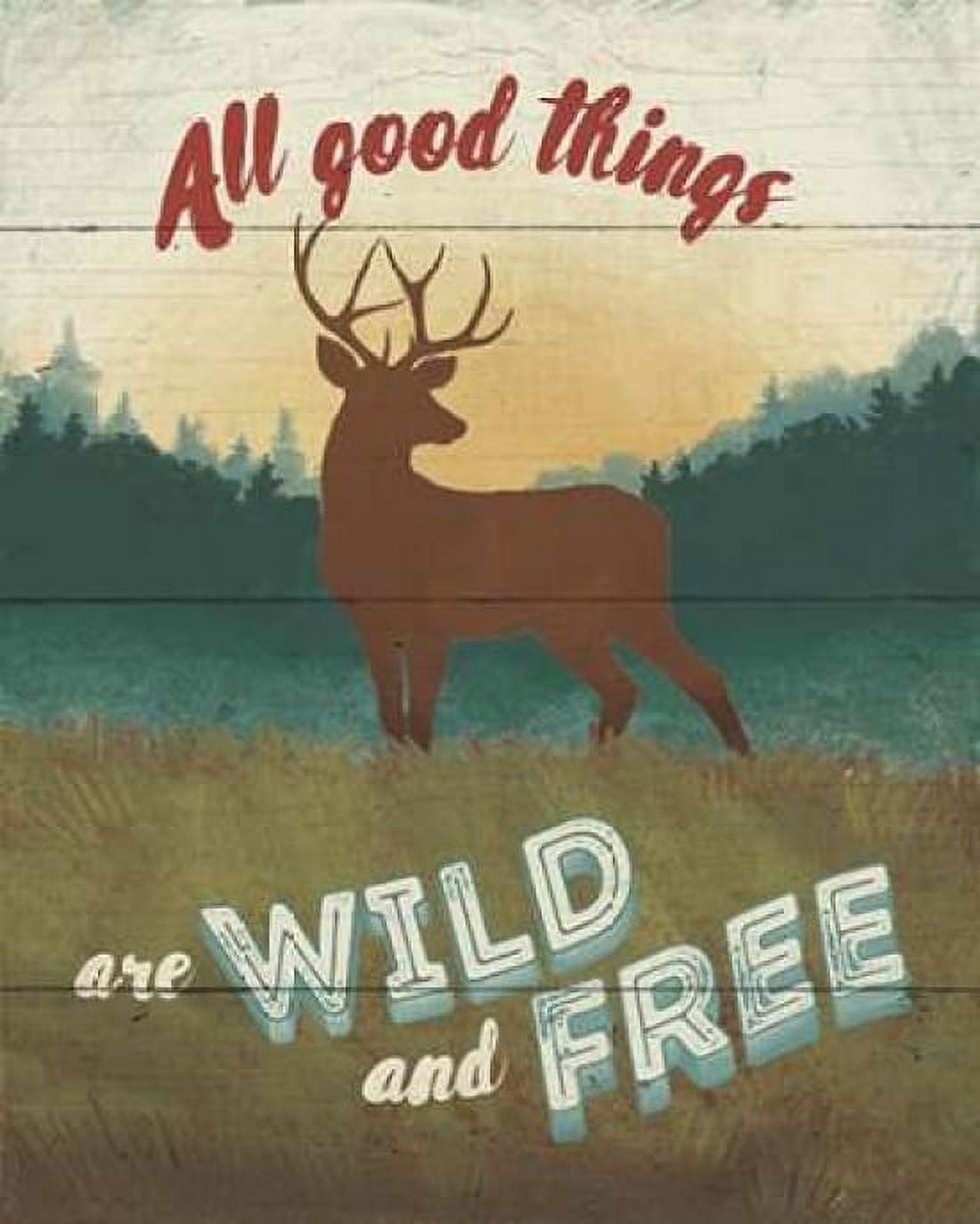 Discover the Wild II Canvas Art - Janelle Penner (24 x 30)
