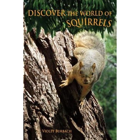 Discover the World of Squirrels : Illustrated Kids Book With Fun Facts About Squirrels and Builds Kids Vocabulary