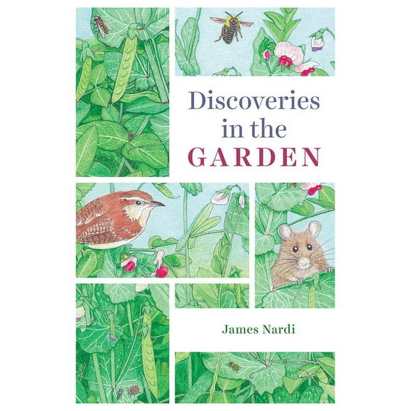 Discoveries in the Garden (Paperback)