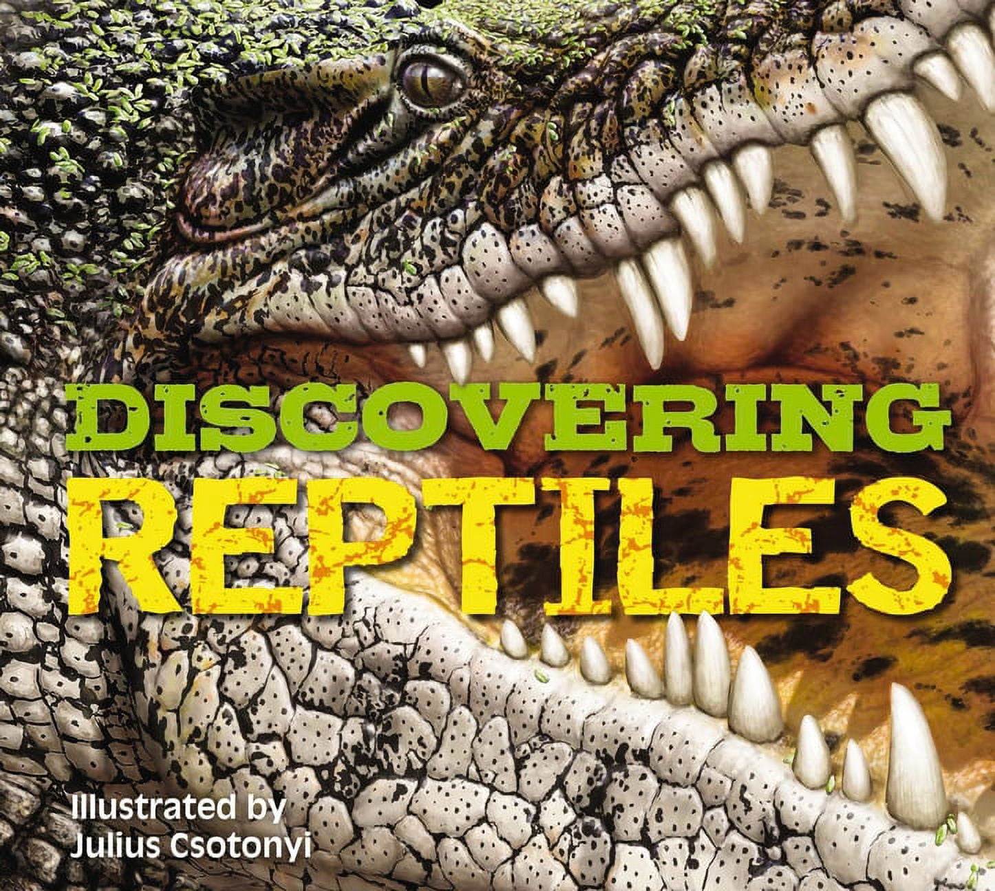 Discovering Reptiles: Ultimate Hardcover Guide with Full-Color Images