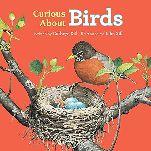 Pre-Owned Curious about Birds (Board book) 1682631907 9781682631904