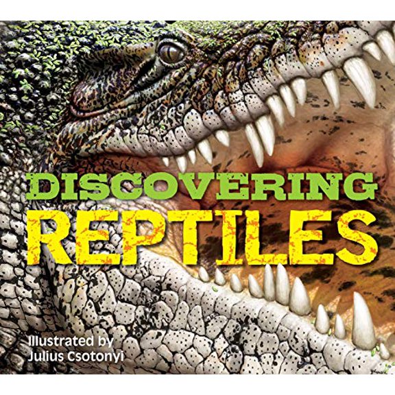 Pre-Owned Discovering Reptiles: The Ultimate Handbook to the Reptiles of the World!, 9781646430512, 1646430514, Hardcover,
