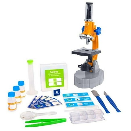 Discovery - Compound Microscope