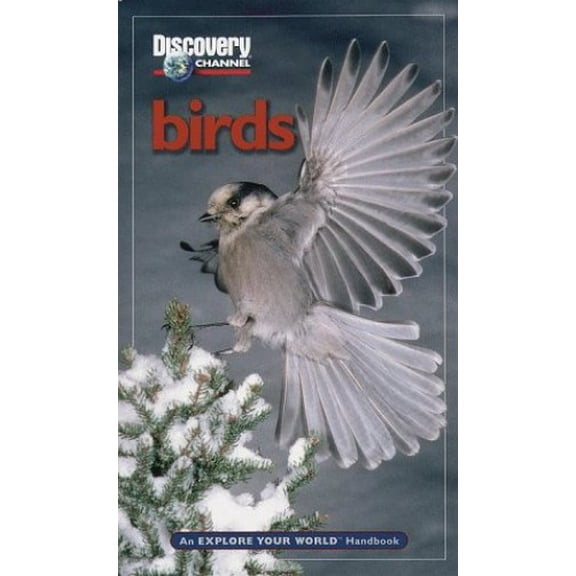 Pre-Owned Discovery Channel: Birds: An Explore Your World Handbook (Paperback) 1563318008 9781563318009