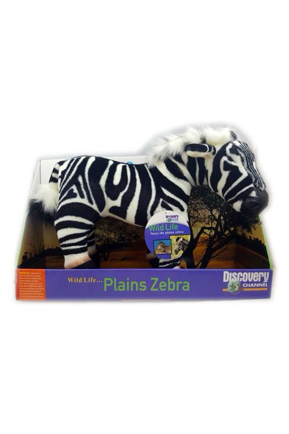 Wildlife Plains Zebra