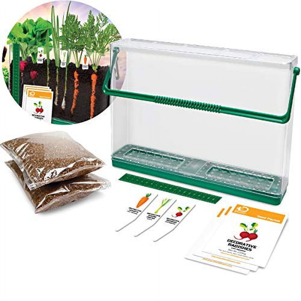 Discovery Kids Mindblown DIY Veggie Grow Kit
