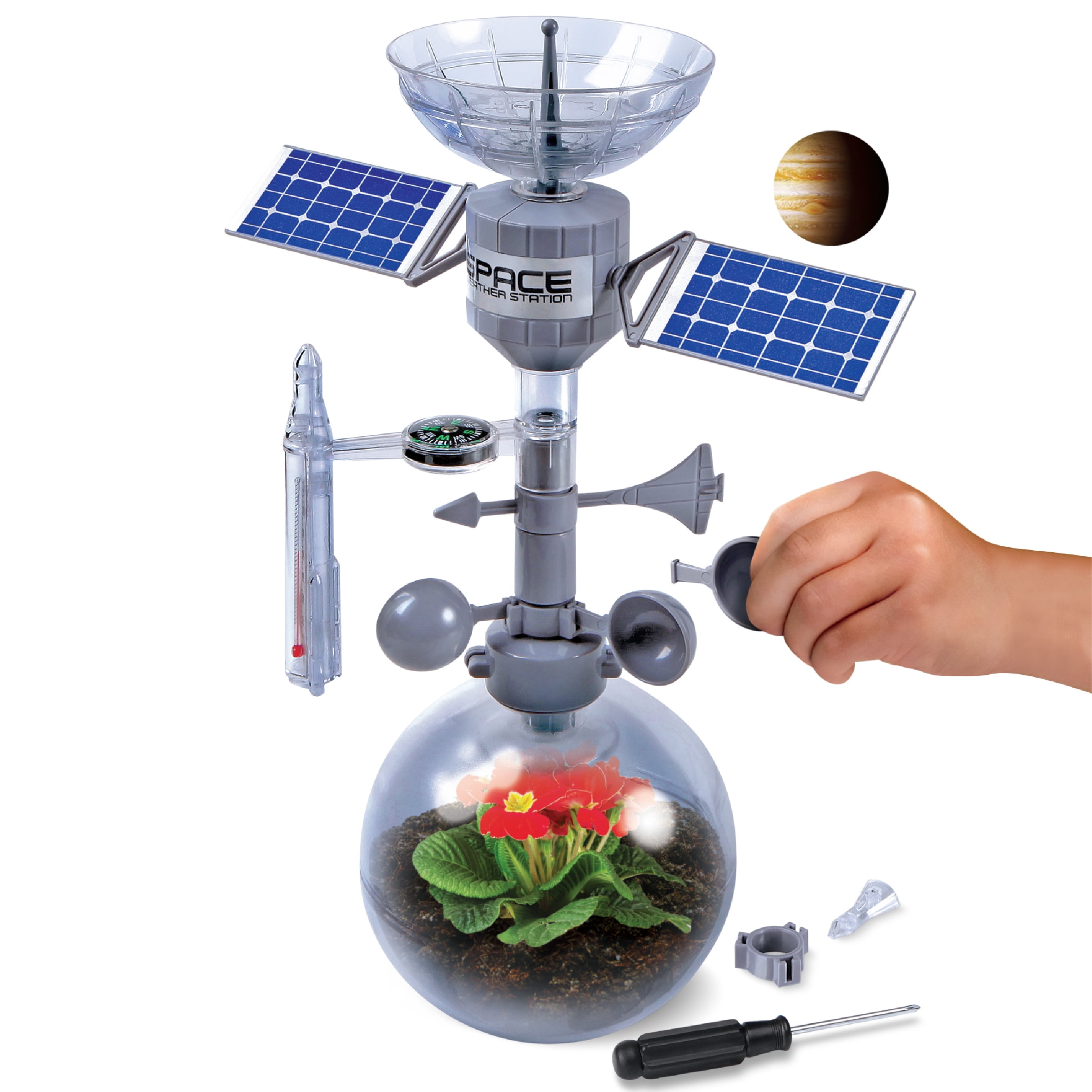 Discovery Kids Mindblown Weather Terrarium DIY Build & Grow Kit 