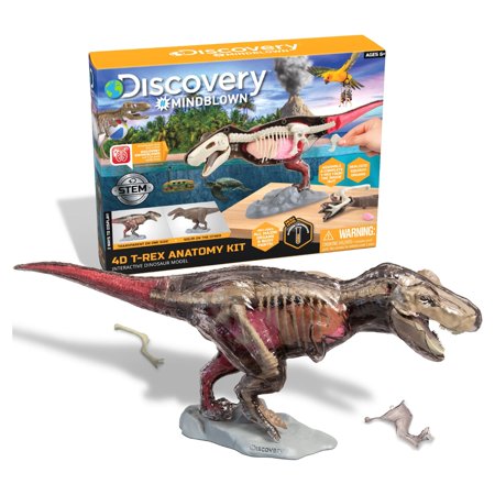 Discovery™ #MINDBLOWN 4D T-Rex Anatomy Interactive Dinosaur Model Science Kit, for Teens & Kids