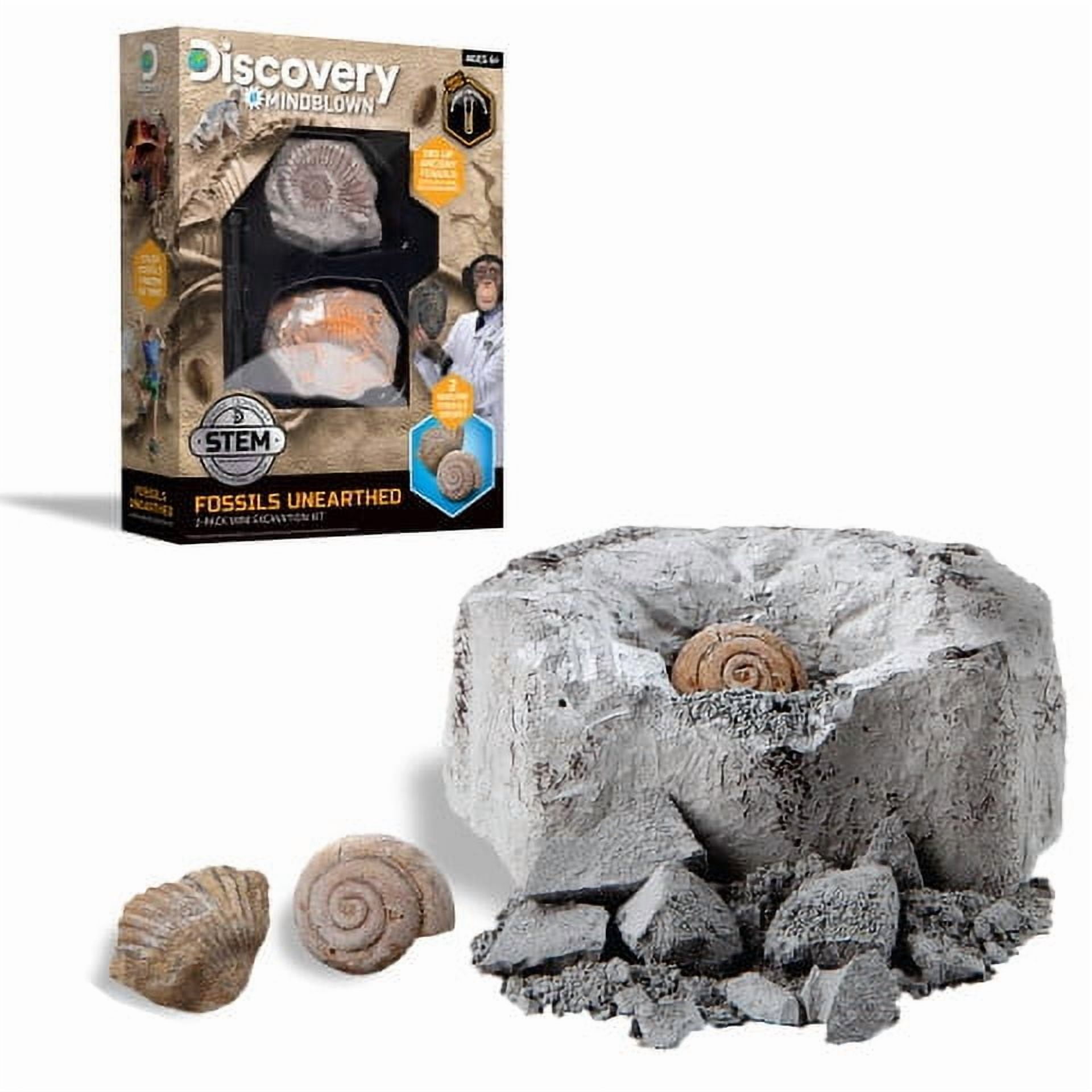 Discovery #Mindblown Fossil Unearthed 2-Pack Mini Excavation Kit for Children and Elementary School, 5-Pieces