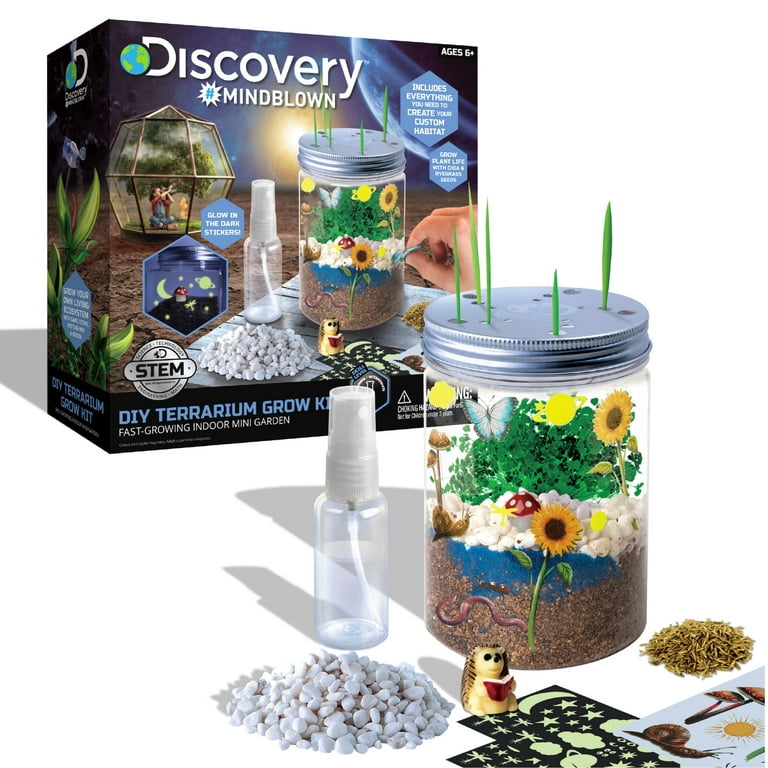Discovery™ #Mindblown Indoor DIY Terrarium Grow Kit, Multi-color (12  Pieces) 