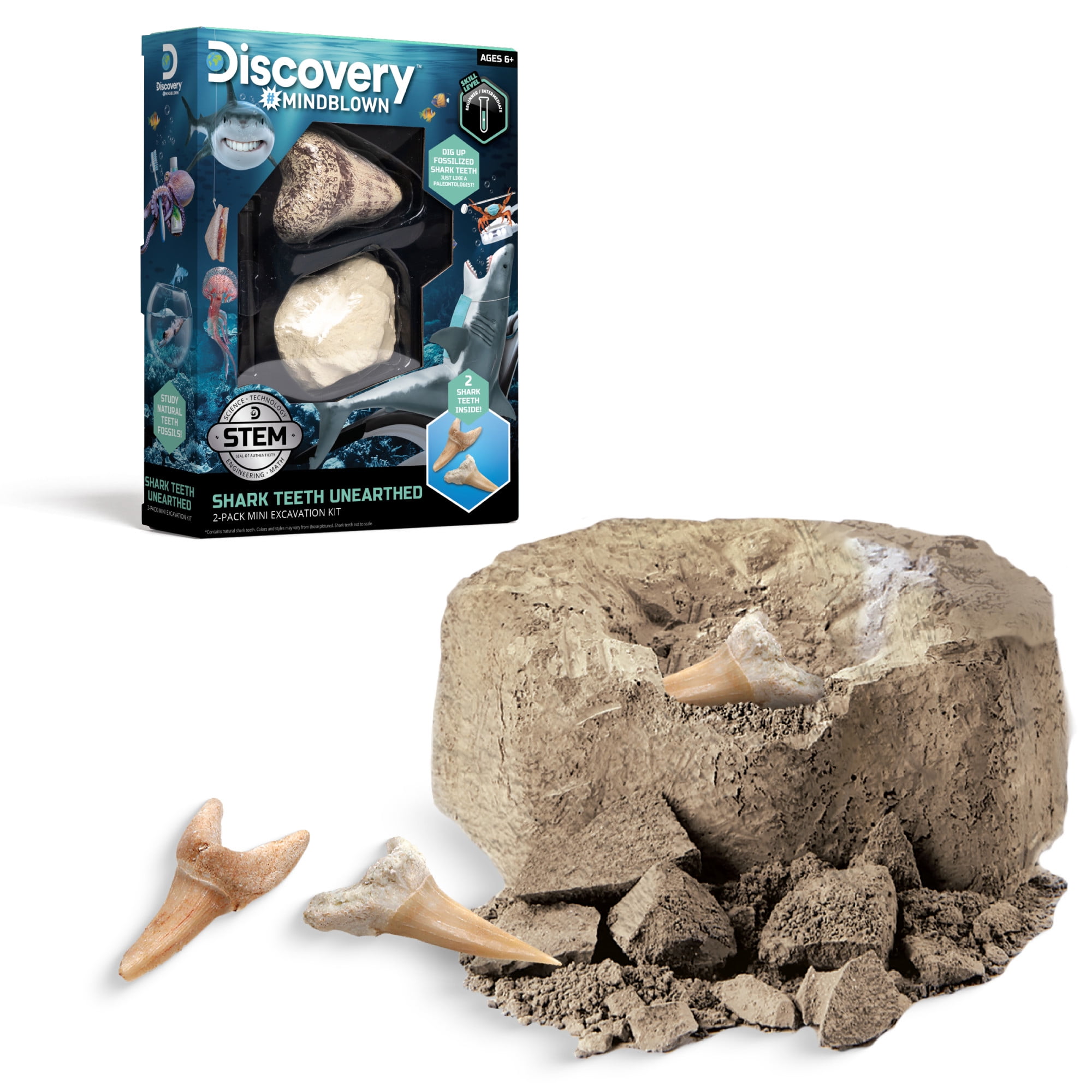 Discovery #Mindblown Mini Fossil Shark Teeth Dig Set for Children and Elementary School, 2-Pack