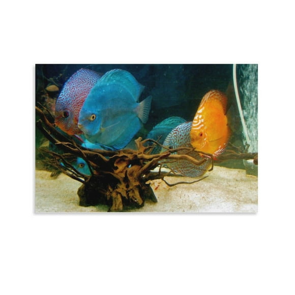 Discus Fish Fish Aquarium Fish Tank Poster Decorative Painting Canvas Wall Art Living Room Posters Bedroom Painting,Unframe-style,08x12inch(20x30cm)